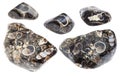 Set of various turritella agate fossil stones cutout Royalty Free Stock Photo