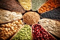 A set of various types of cereals and legumes. Concept of farming and grain expression. Close-up. Healthy eating