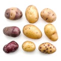 Set of various types of organic raw potatoes on white background Generative AI Illustration