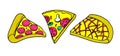 Set of various types of pizza