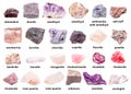 Set of various unpolished pink minerals with names