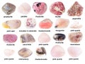 Set of various unpolished pink stones with names Royalty Free Stock Photo