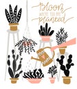 Set of various vector indoor plants in pots with lettering - `Bloom where you are planted`. Vector illustration.