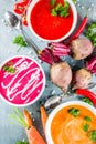 Set of various vegetable cream soups Royalty Free Stock Photo