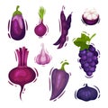 Set of various vegetables and fruits of purple color. Vector illustration on white background.