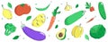 Vector set of vegetables and herbs. Multi-colored zucchini, cucumber, peppers, tomatoes, eggplant, onions, garlic