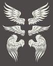 Set of vector angelic or bird wings