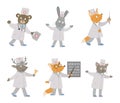 Set of vector animal doctors. Cute funny characters.