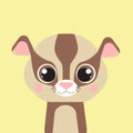 Set of vector animals in cartoon style. Cute animals of Australia. A collection of small animals in the children's