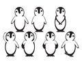 Set of Vector Baby Penguins on White background