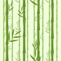 Set of vector bamboo isolated on white