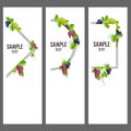 Set of vector banners with bunches of grapes