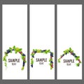 Set of vector banners with bunches of grapes Royalty Free Stock Photo