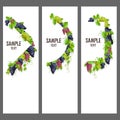 Set of vector banners with bunches of grapes Royalty Free Stock Photo