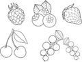 Set of vector berries including vector raspberry, blueberry, fresh strawberry, juicy cherry, gooseberry. Coloring book black and w