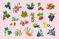Set of vector berry stickers Royalty Free Stock Photo