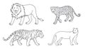 Set of vector big cats in contours Royalty Free Stock Photo