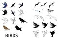 Set of vector birds Royalty Free Stock Photo