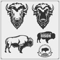 Set of vector Bison silhouettes and illustration. Print design for t-shirt. Emblem design template. Royalty Free Stock Photo