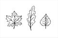Set of vector black hand drawn contours of autumn maple, oak, birch leaves in Doodle style. Empty outline isolated on white