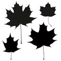 Set of vector black maple leaves outline Royalty Free Stock Photo