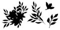 Set of vector black silhouette with flower, leaves and branch. Elegant art for decoration. hand drawing monochrome Royalty Free Stock Photo