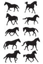 Set of vector black trotting horses silhouettes Royalty Free Stock Photo