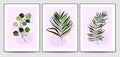 A set of vector botanical illustrations with an abstract composition with tropical palm leaves, for an art gallery. a modern