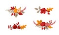 Set of vector bouquet Autumn wreath design template print with flower cotton, leaves, fruits and berries. October