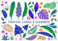 Set of vector bright tropical leaves,flowers and elements Royalty Free Stock Photo