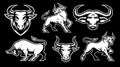 A set of Vector Bulls Illustrations