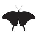 Set of Vector Butterflies. butterfly silhouette