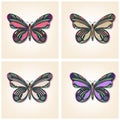 Set of vector butterflies. Elegant insects. Entomological collection of detailed hand drawn butterflies