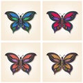 Set of vector butterflies. Elegant insects. Entomological collection of detailed hand drawn butterflies