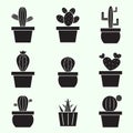 Set of vector cactus icons