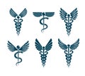 Set of vector Caduceus symbols created using bird wings and snakes. Medical treatment and rehabilitation theme illustrations.