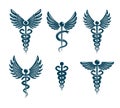 Set of vector Caduceus symbols created using bird wings and snakes.