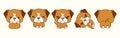 Set of Vector Cartoon Animal Illustrations. Collection of Isolated Kawaii Boxer Puppy Art for Stickers, Prints for