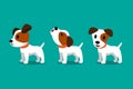 Set of vector cartoon character cute jack russell terrier dog poses