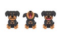 Set of vector cartoon character cute rottweiler dog Royalty Free Stock Photo