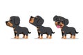 Set of vector cartoon character rottweiler dog