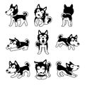 Set of vector cartoon character siberian husky dog poses Royalty Free Stock Photo