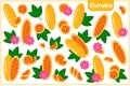 Set of vector cartoon illustrations with Curuba exotic fruits, flowers and leaves isolated on white background
