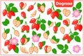 Set of vector cartoon illustrations with Dogrose exotic fruits, flowers and leaves isolated on white background