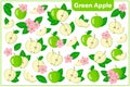 Set of vector cartoon illustrations with Green apple exotic fruits, flowers and leaves isolated on white backgroundv Royalty Free Stock Photo