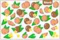 Set of vector cartoon illustrations with Monk exotic fruits, flowers and leaves isolated on white background