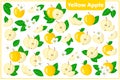 Set of vector cartoon illustrations Yellow apple exotic fruits, flowers and leaves isolated on white background Royalty Free Stock Photo