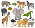 Set of vector cartoon isolated outline Savannah animals. Tiger, lion, rhinoceros, common warthog, African buffalo, tortoise, Royalty Free Stock Photo