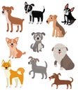 Set vector characters. Dogs of different breeds Royalty Free Stock Photo