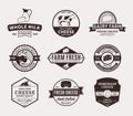 Set of Vector Cheese Labels, Icons and Design Elements Royalty Free Stock Photo